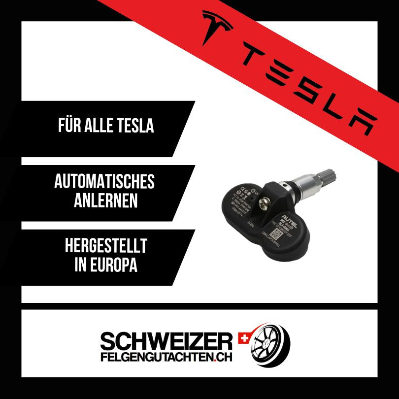 Tesla Reifendrucksensoren Bluetooth (silber)